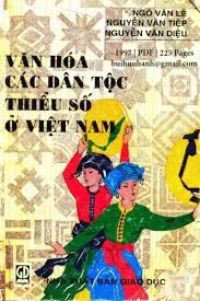 VĂN HÓA CÁC DÂN TỘC THIỂU SỐ Ở VIỆT NAM