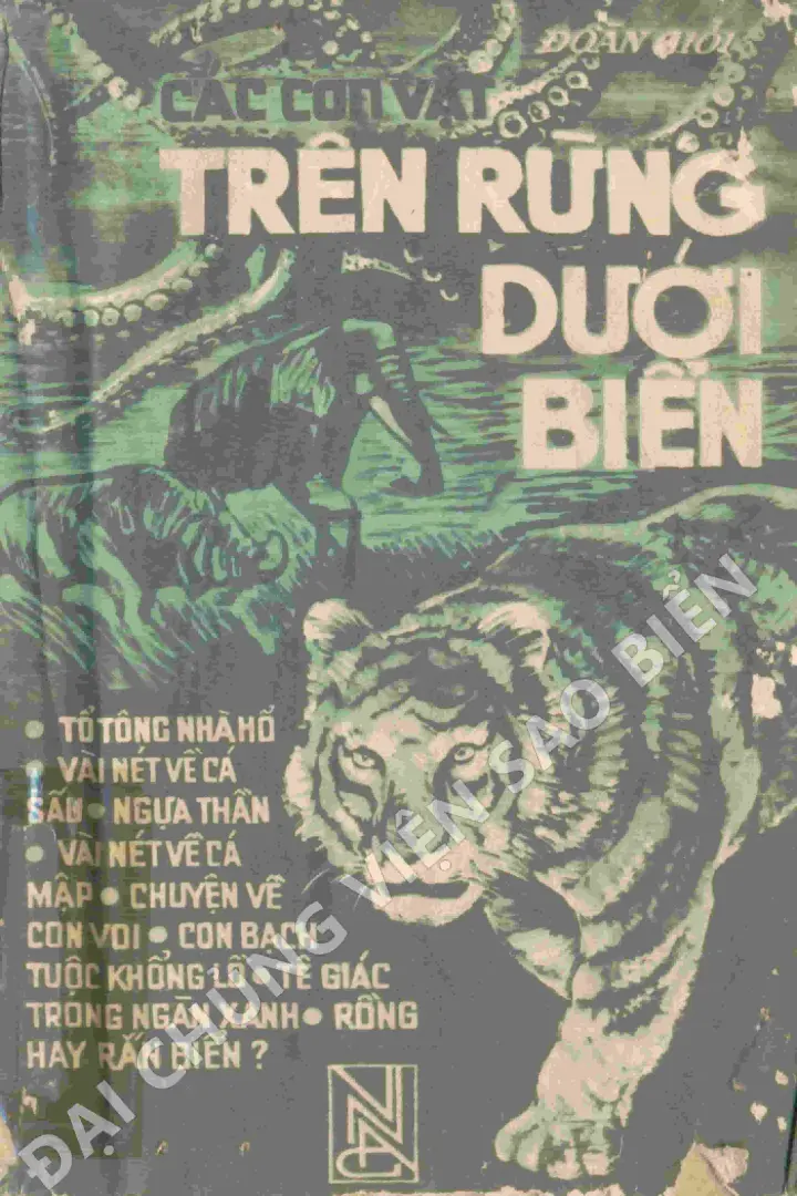 CÁC CON VẬT TRÊN RỪNG DƯỚI BIỂN