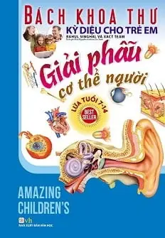 Giải phẫu cơ thể người