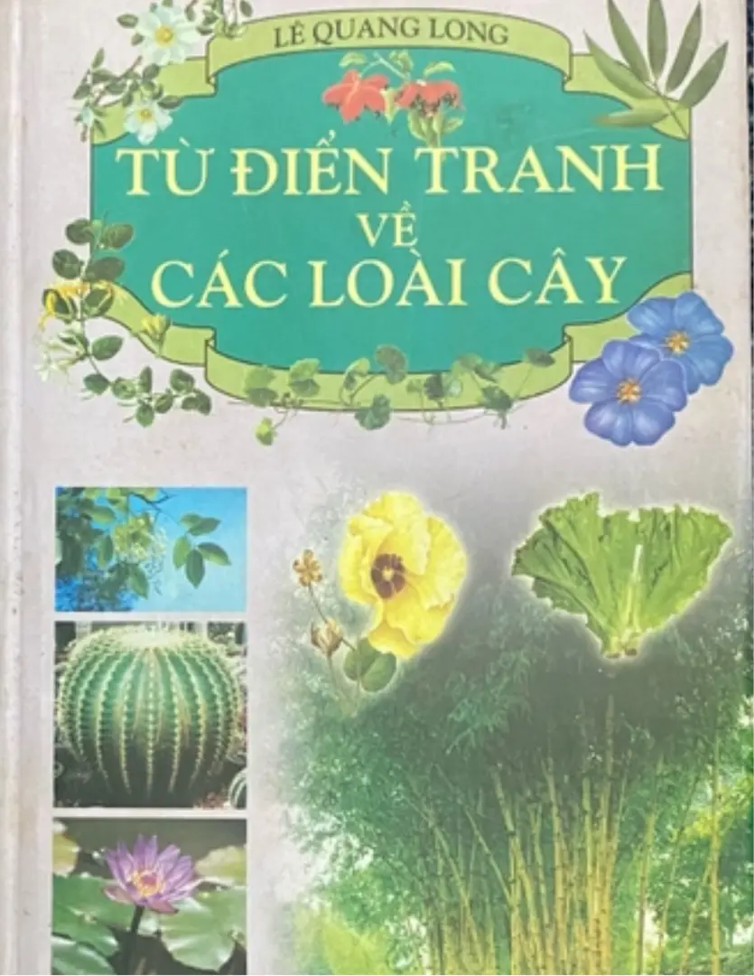 Từ điển tranh về các loại cây