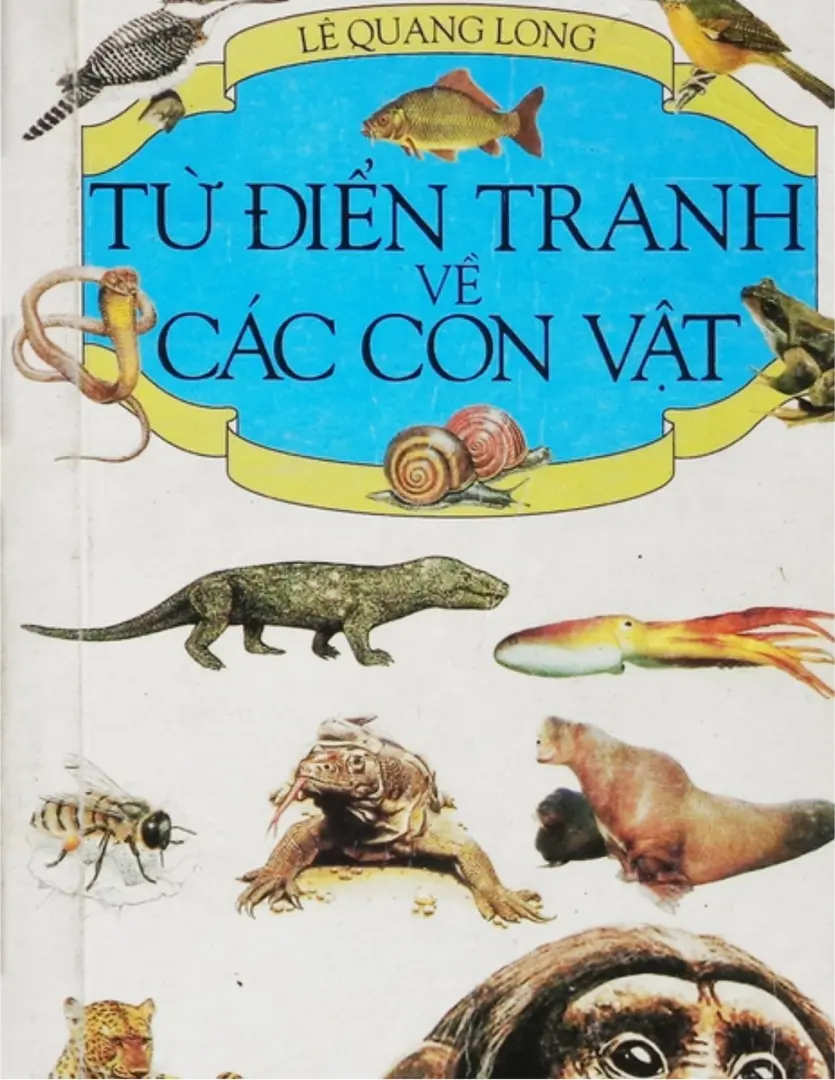 Từ điển tranh về các con vật