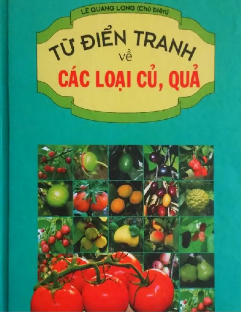Từ điển tranh về các loại củ, quả