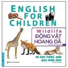 Bé học tiếng Anh qua hình ảnh - Động vật hoang dã