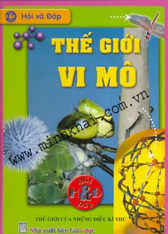 Hỏi Và Đáp - Thế Giới Vi Mô