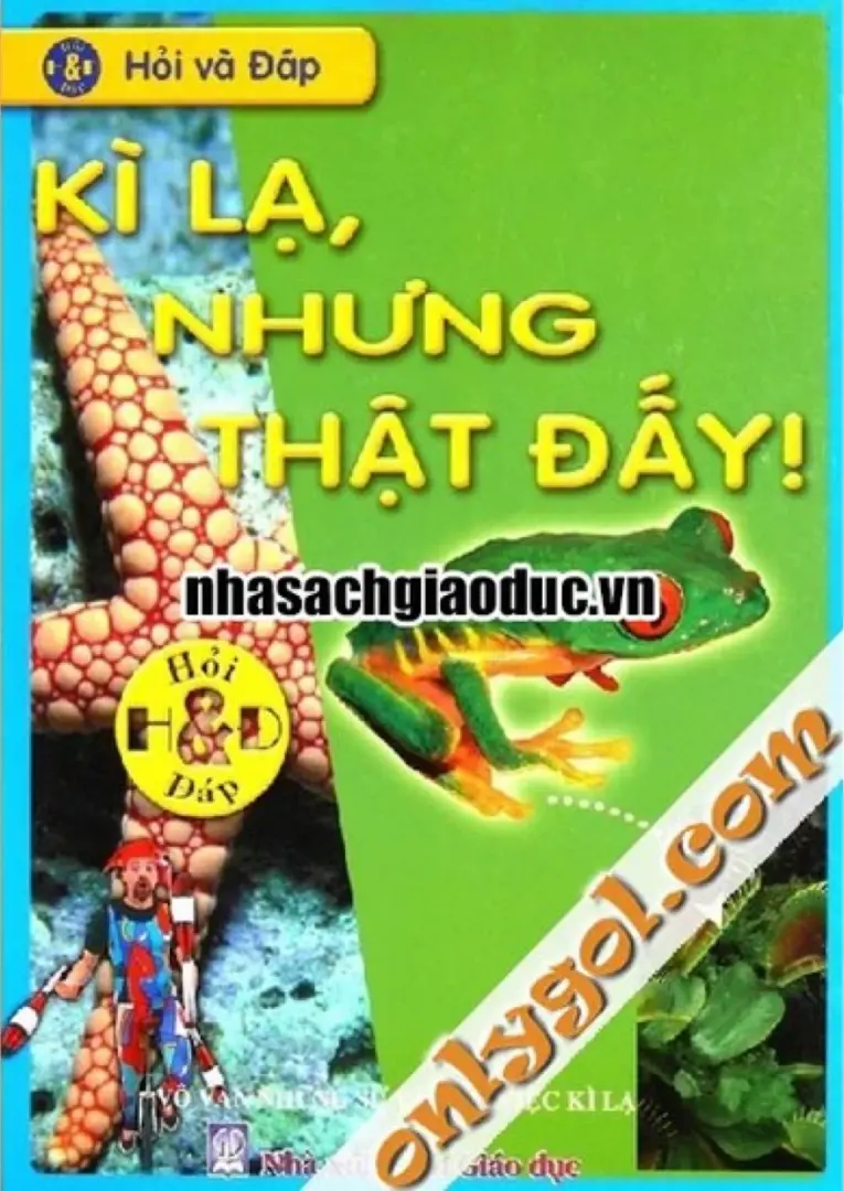 Hỏi Và Đáp - Kỳ Lạ Nhưng Thật Đấy