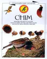 Tủ sách kiến thức thế hệ mới: Chim