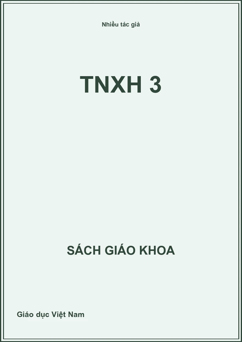 TNXH 3