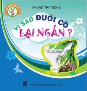 VÌ SAO ĐUÔI CÒ LẠI NGẮN