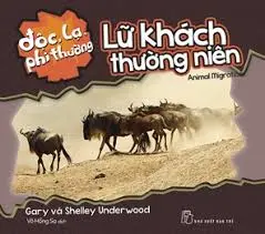 LỮ KHÁCH THƯỜNG NIÊN