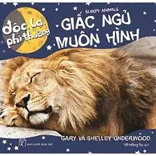 GIẤC NGỦ MUÔN HÌNH