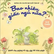 BAO NHIÊU GIẤC NGỦ NỮA