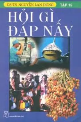 Hỏi gì đáp nấy - Tập 15