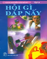 Hỏi gì đáp nấy - Tập 9