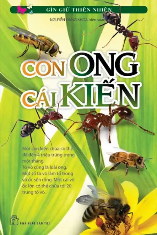 Bộ Sách Giữ Gìn Thiên Nhiên - Con Ong Cái Kiến