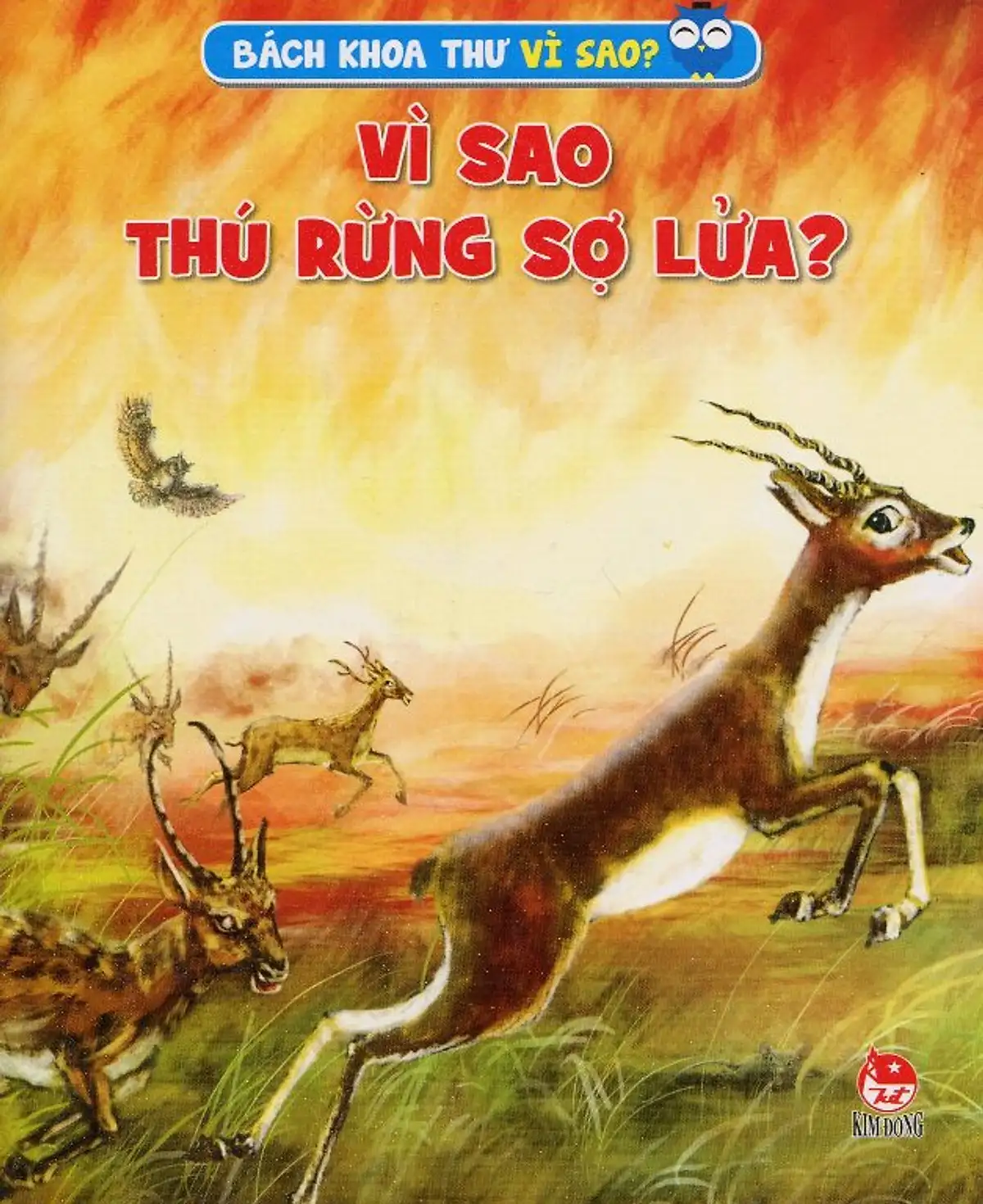 Vì sao thú rừng sợ lửa?