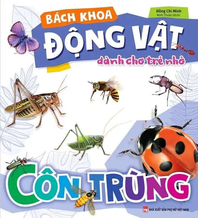 Bách Khoa Động Vật Dành Cho Trẻ Nhỏ - Côn Trùng
