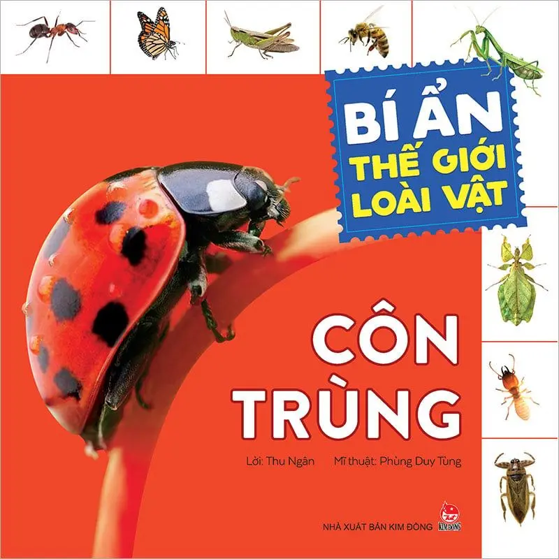 Côn trùng.- (Bí ẩn thế giới loài vật)(Dành cho lứa tuổi 3+)
