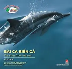 Gõ cửa thiên nhiên - Bài ca biển cả