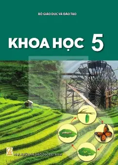 Sách Giáo Khoa học 5 - Kết Nối Tri Thức