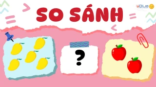 So Sánh Các Số