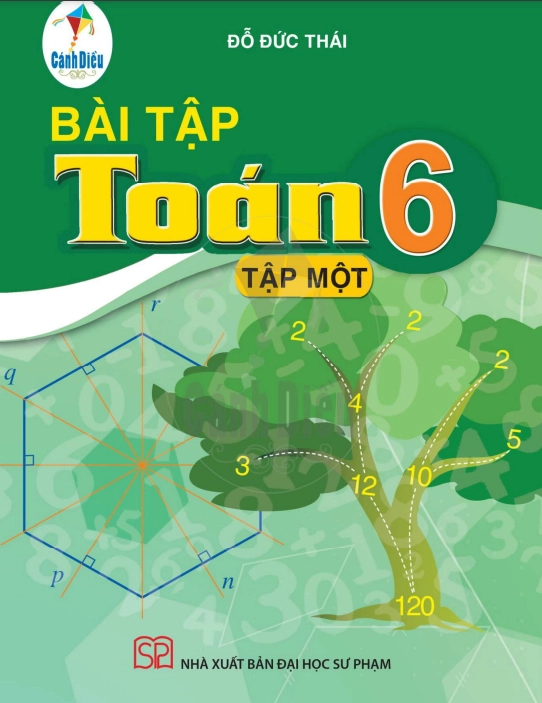 Sách bài tập Toán 6 - Tập 1 Cánh diều