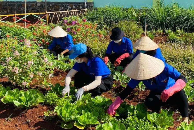 Hoạt Động “Thứ Sáu Tình Nguyện Xanh”