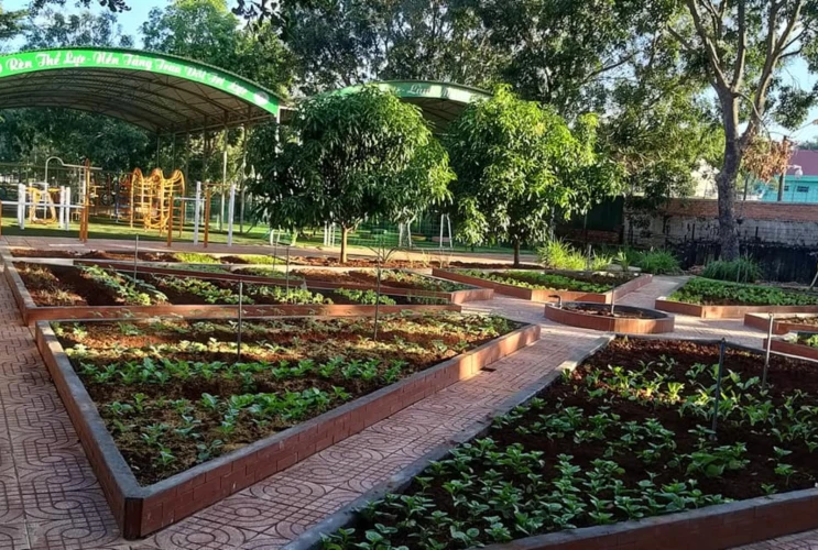 Cùng chung tay xây dựng “vườn rau cho bé” – Góp phần nuôi dưỡng tình yêu thiên nhiên cho trẻ