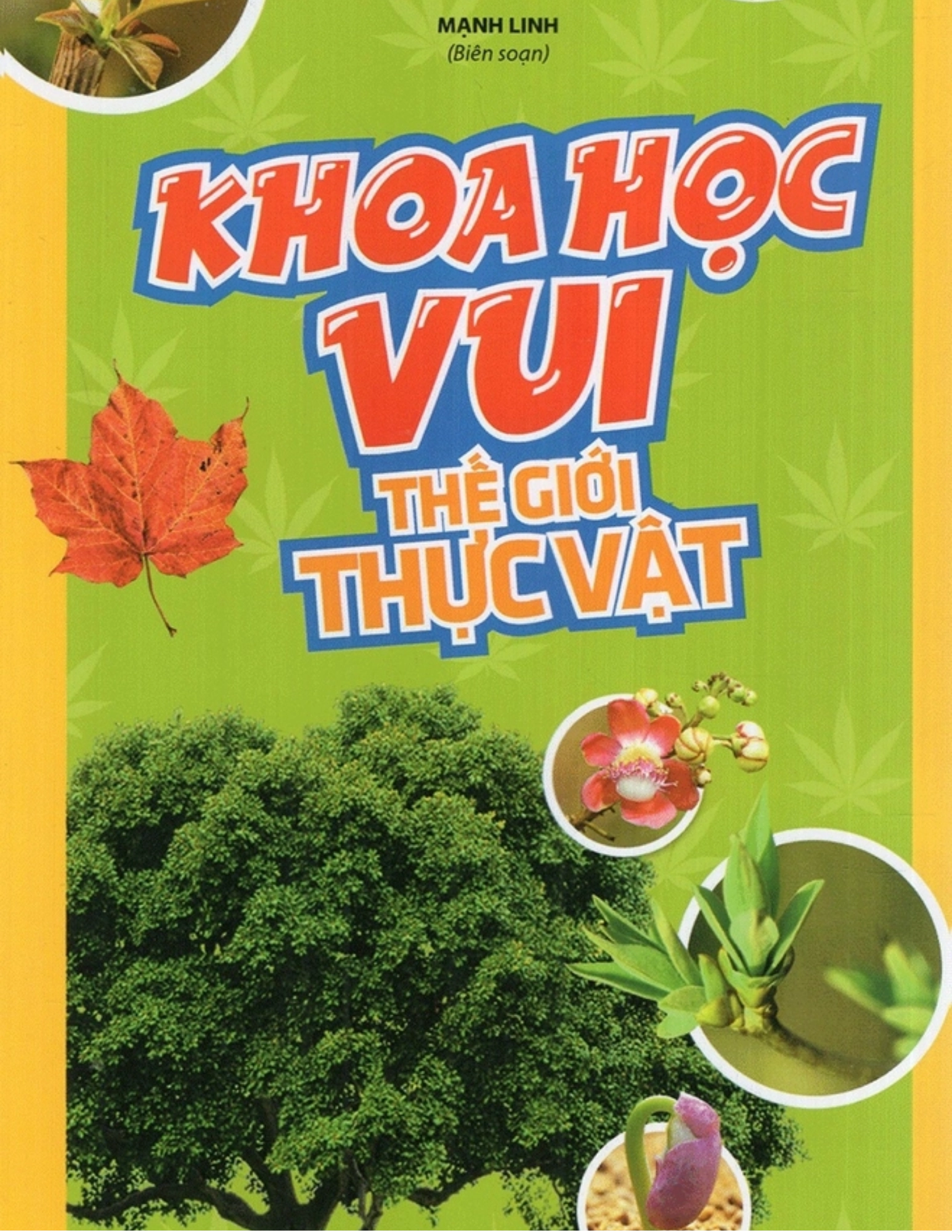 Khoa học vui - Thế giới thực vật