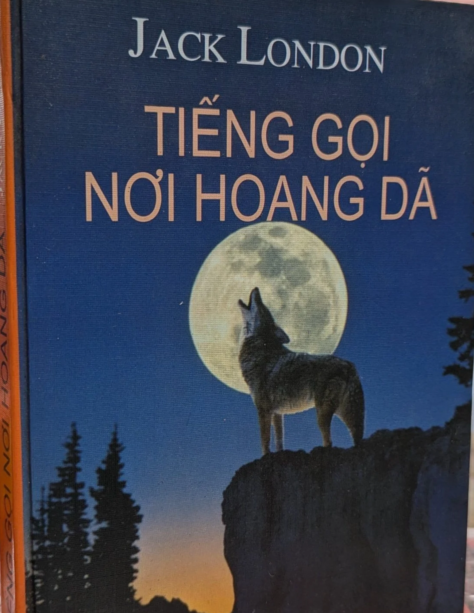 Tiếng gọi nơi hoang dã