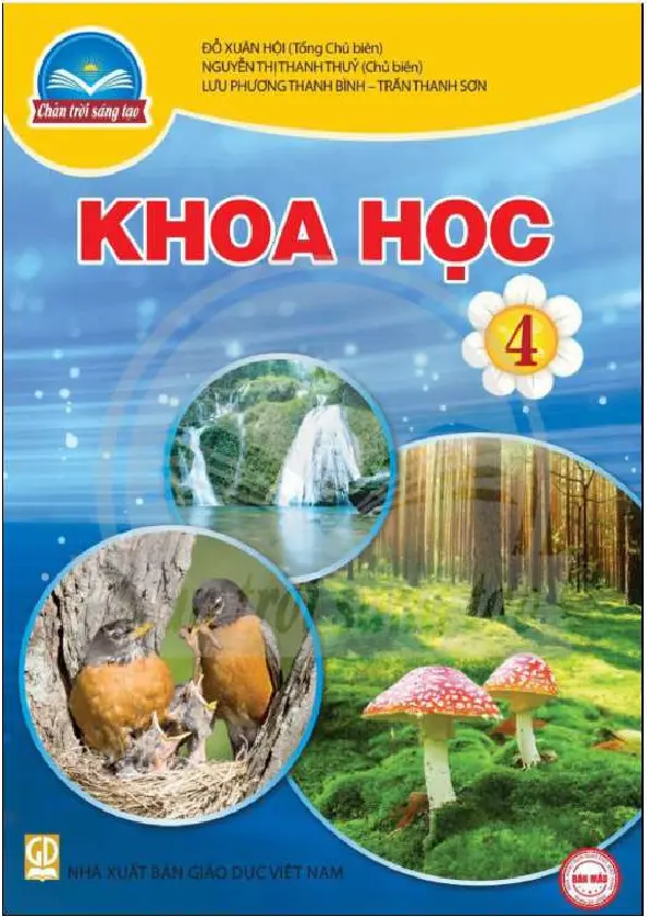 Khoa học 4 (Chân trời sáng tạo)