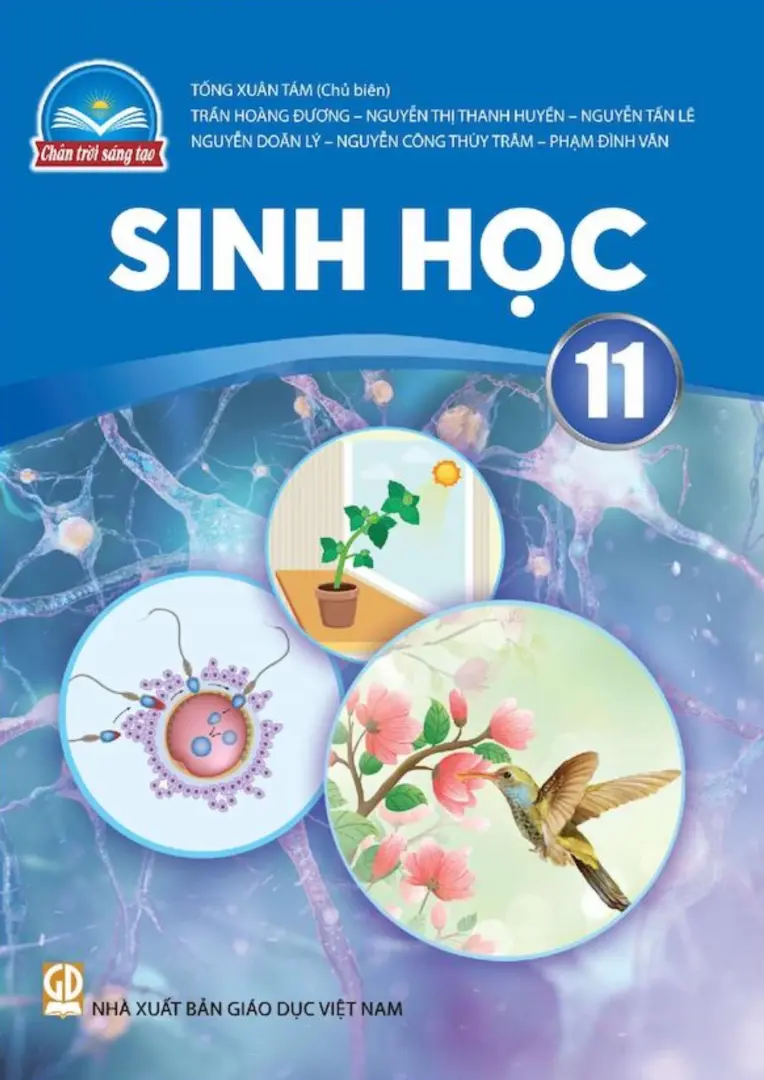 Sách giáo khoa Sinh học 11 - Chân Trời Sáng Tạo