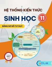 Hệ thống kiến thức Sinh học 11 bằng sơ đồ tư duy